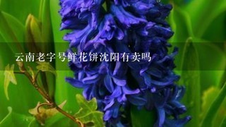 云南老字号鲜花饼沈阳有卖吗