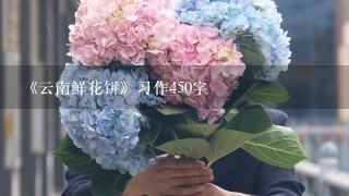 《云南鲜花饼》习作450字