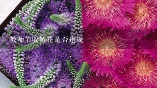 教师节收鲜花是否违规