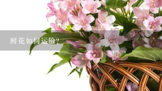 鲜花如何运输？