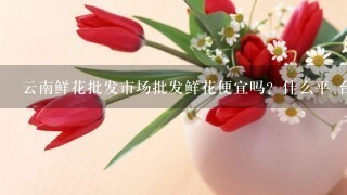 云南鲜花批发市场批发鲜花便宜吗？什么平 台好1点？