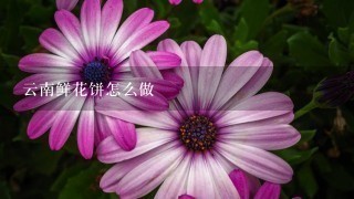 云南鲜花饼怎么做