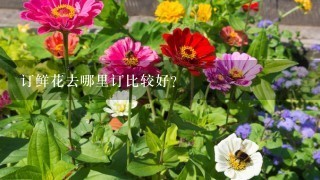 订鲜花去哪里订比较好？