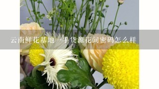 云南鲜花基地1手货源花间密码怎么样