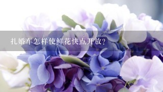 扎婚车怎样使鲜花快点开放？