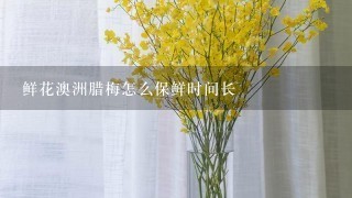 鲜花澳洲腊梅怎么保鲜时间长