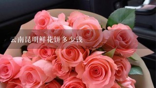 云南昆明鲜花饼多少钱