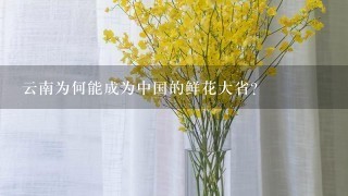 云南为何能成为中国的鲜花大省？