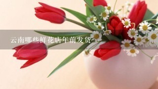 云南哪些鲜花店年前发货