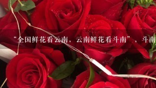 “全国鲜花看云南，云南鲜花看斗南”，斗南花市距昆明市区约18公里，是亚洲最大的鲜花交易市场，也是中国最大的花卉交易市场...