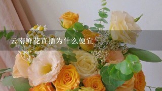 云南鲜花直播为什么便宜