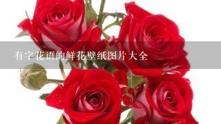 有字花语的鲜花壁纸图片大全