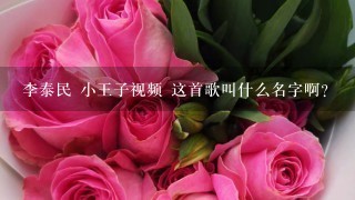 李泰民 小王子视频 这首歌叫什么名字啊?