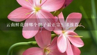 云南鲜花饼哪个牌子最正宗？求推荐。