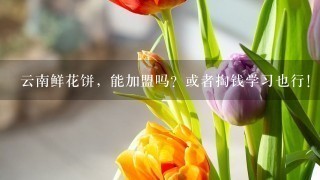 云南鲜花饼，能加盟吗？或者掏钱学习也行！是不是1