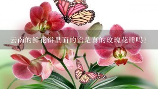 云南的鲜花饼里面的馅是真的玫瑰花瓣吗？