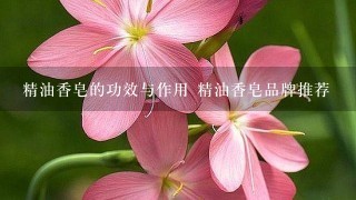 精油香皂的功效与作用 精油香皂品牌推荐