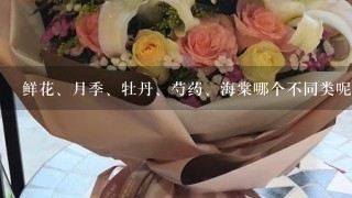 鲜花、月季、牡丹、芍药、海棠哪个不同类呢？