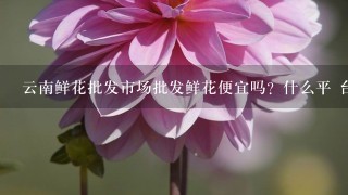 云南鲜花批发市场批发鲜花便宜吗？什么平 台好1点？