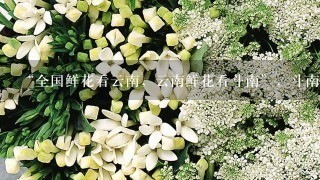 “全国鲜花看云南，云南鲜花看斗南”，斗南花市距昆明市区约18公里，是亚洲最大的鲜花交易市场，也是中国最大的花卉交易市场...