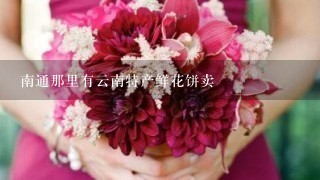 南通那里有云南特产鲜花饼卖