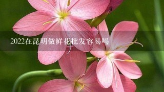 2022在昆明做鲜花批发容易吗