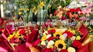 云南鲜切花售价暴跌400%，“美丽经济”如何绽放？