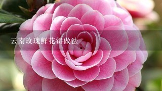 云南玫瑰鲜花饼做法