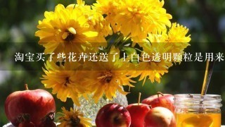 淘宝买了些花卉还送了上白色透明颗粒是用来做什么的