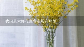 我国最大鲜花批发市场在那里