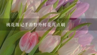 桃花源记手游野外鲜花几点刷