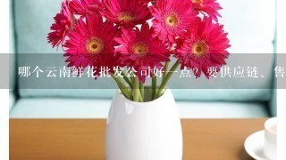 哪个云南鲜花批发公司好1点？要供应链、售后完善1点的