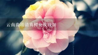 云南曲靖清真鲜花玫瑰饼