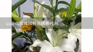 qq游戏玫瑰园鲜花成熟时间