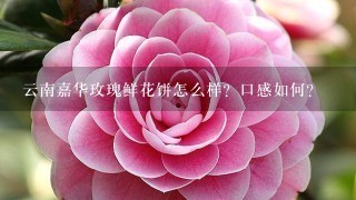 云南嘉华玫瑰鲜花饼怎么样？口感如何？