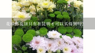 花喵鲜花饼只有在昆明才可以买得到吗？