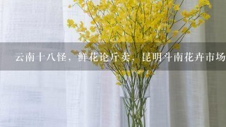 云南十8怪，鲜花论斤卖，昆明斗南花卉市场卖鲜花犹