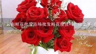 云南鲜花批发市场批发鲜花便宜吗？什么平 台好1点？