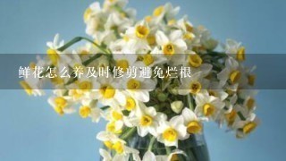 鲜花怎么养及时修剪避免烂根