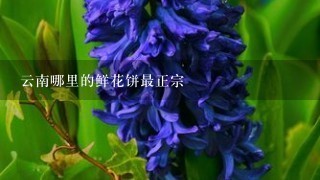 云南哪里的鲜花饼最正宗