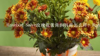 Rosebud Salve玫瑰花蕾膏润唇膏怎么样？Rosebud Sal