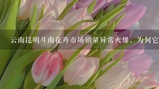 云南昆明斗南花卉市场销量异常火爆，为何它能成为亚