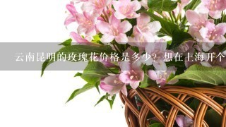 云南昆明的玫瑰花价格是多少？想在上海开个花店，从