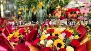 云南的干花为什么味道难闻?上面有什么化学物品吗?摆