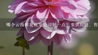 哪个云南鲜花批发公司好1点？要供应链、售后完善1