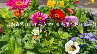 云南省蒙自市苹果专卖店在哪里？越详细越好？