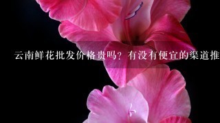 云南鲜花批发价格贵吗？有没有便宜的渠道推荐？