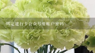 绑定建行卡公众号要账户密码