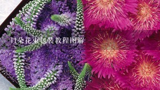 11朵花束包装教程图解