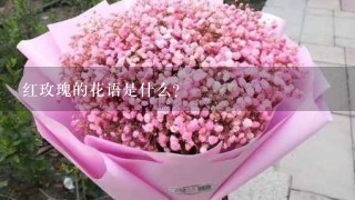 红玫瑰的花语是什么？